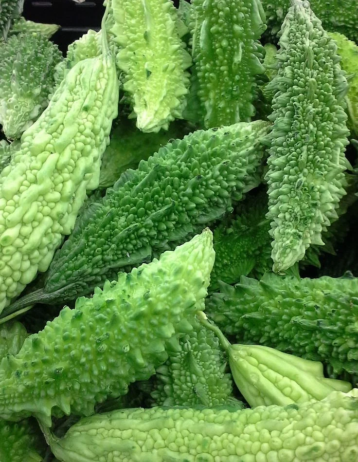 Bitter Gourd 2