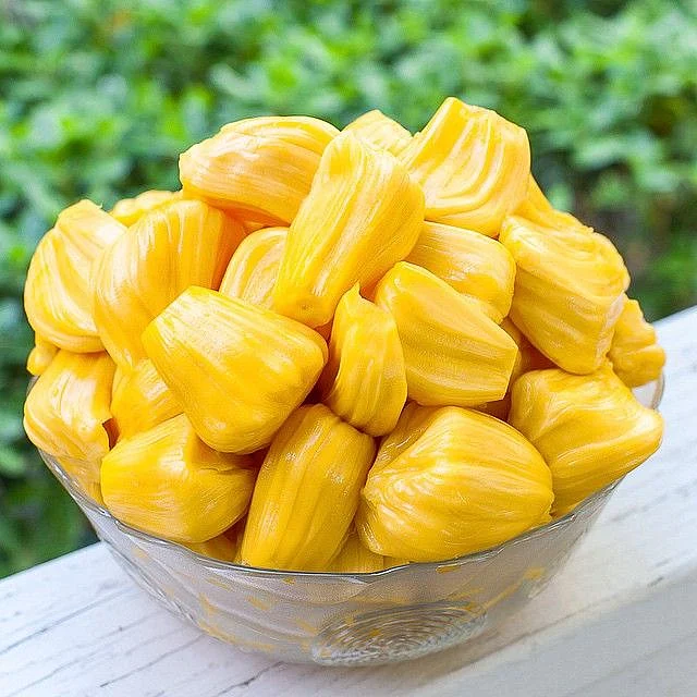 jackfruit 6