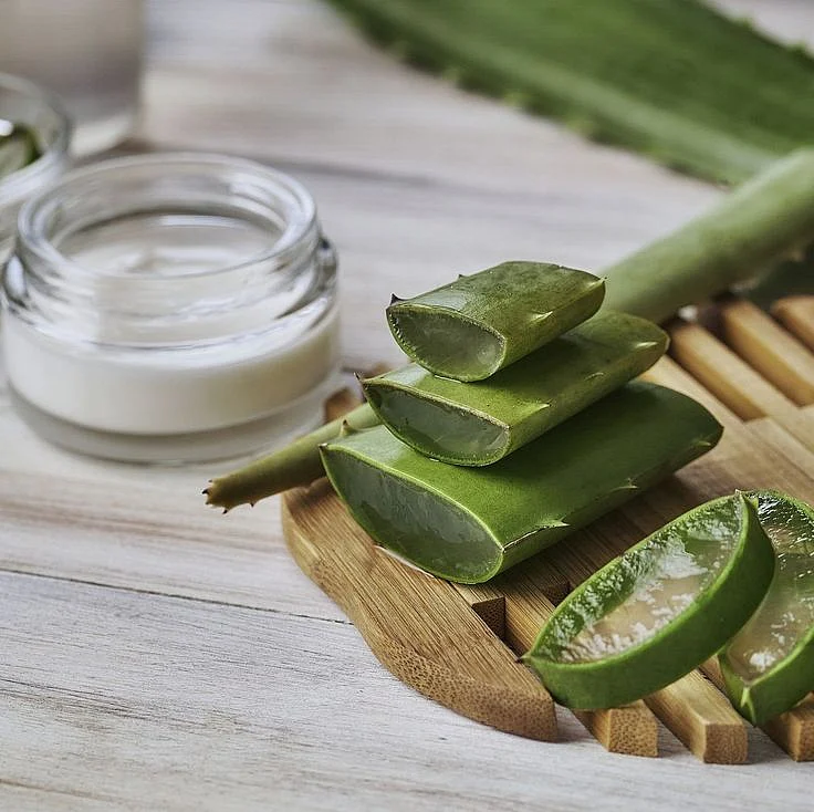 Aloe Vera for Hair 2