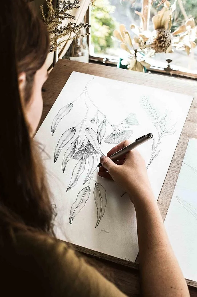 drawing