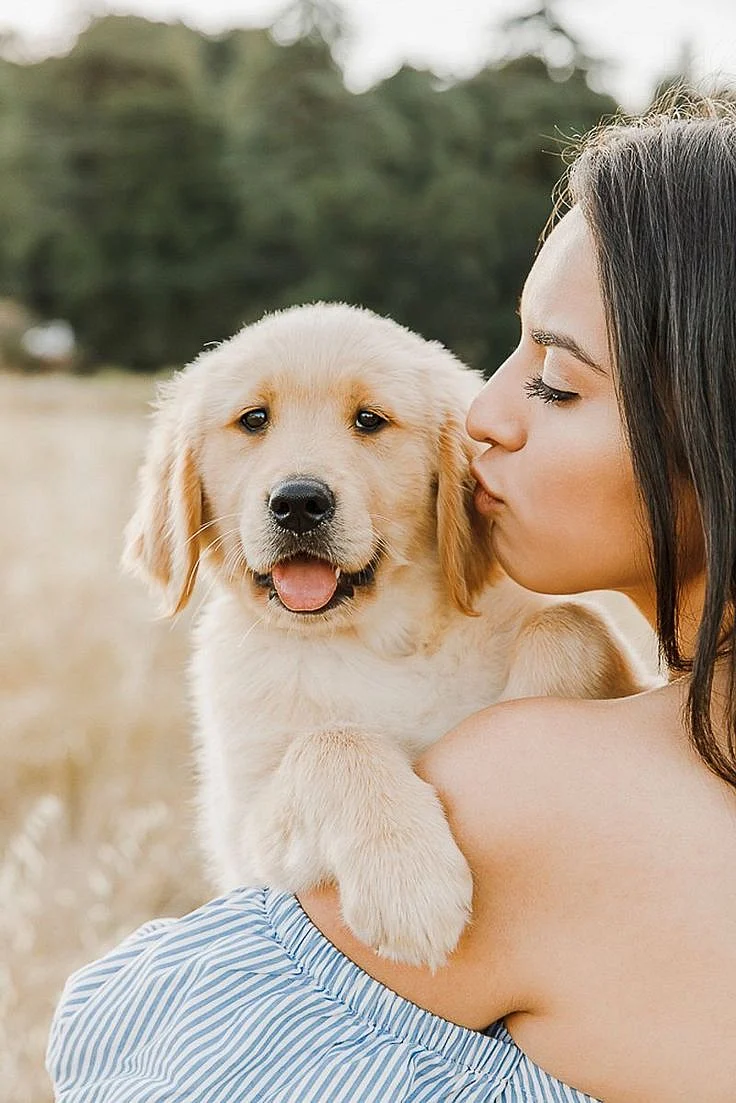dogs
