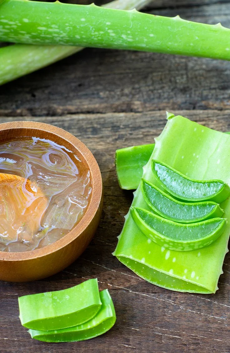 Aloe Vera for Hair 4