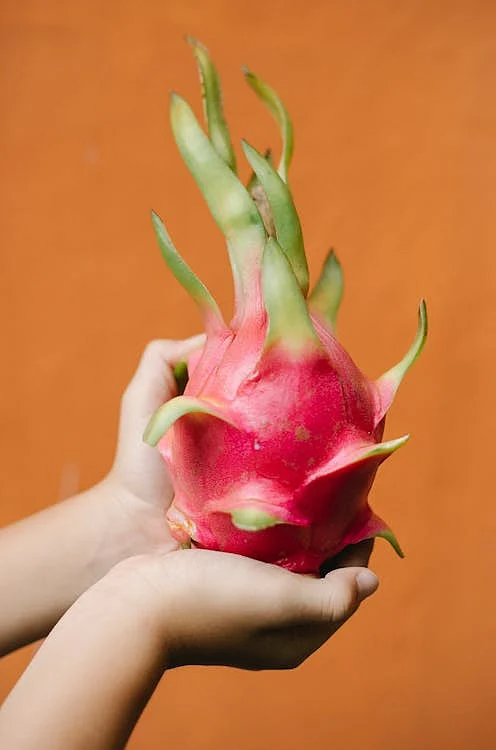 Dragon Fruit 5