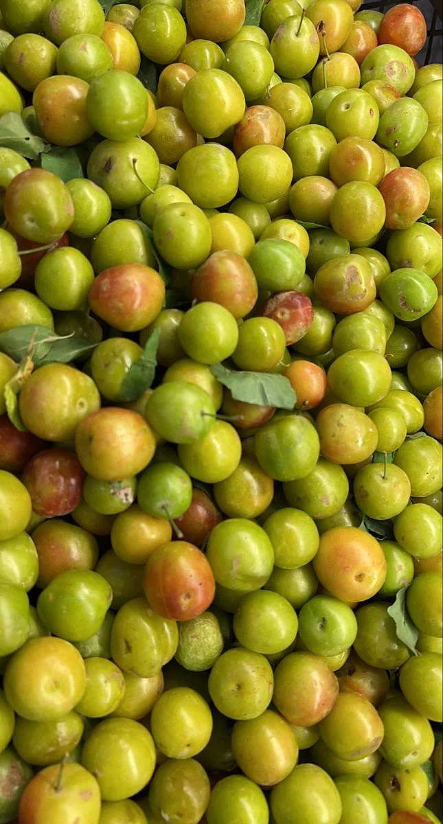 Vitamin C Rich Fruits 4