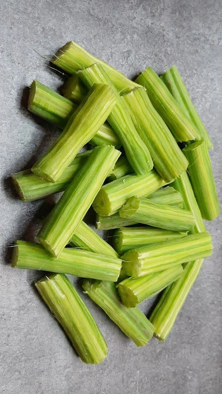 Drumstick