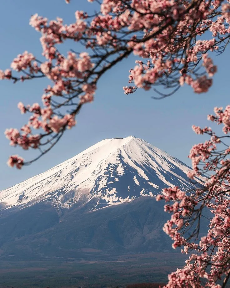 Die 3 besten Foto Spots vom Mount Fuji — The Beach Office