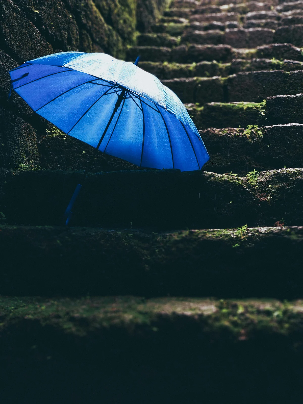 pexels ravikant 1715161
