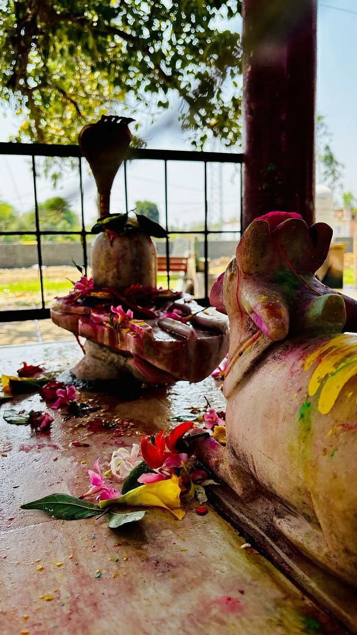 Maha Shivratri 9