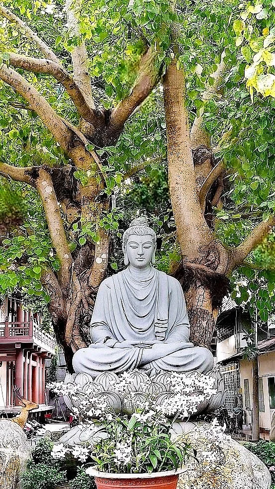 gautama buddha 6