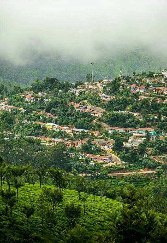 ooty