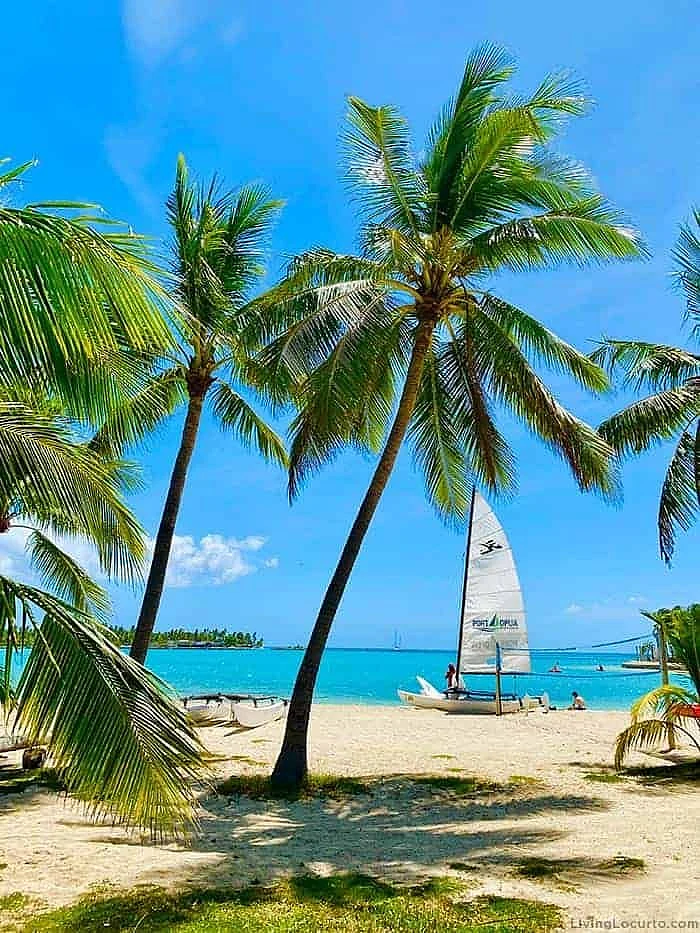 Fiji Islands Guide Fiji Travel Tips and Where to