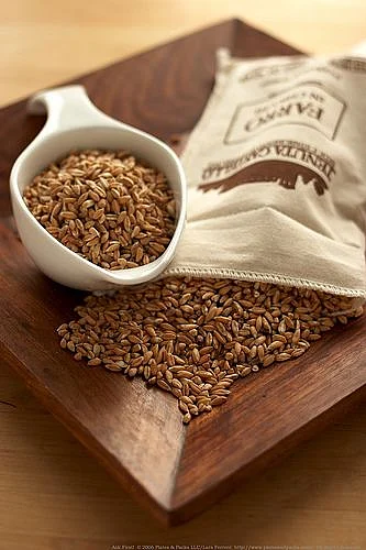 What Is Farro