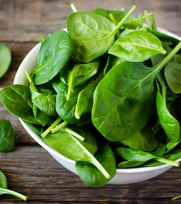 पालक खाने के 25 फायदे उपयोग और नुकसान – Spinach Palak Benefits and Side Effects in Hindi