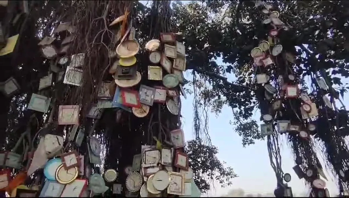 ghadi wale baba tree 1