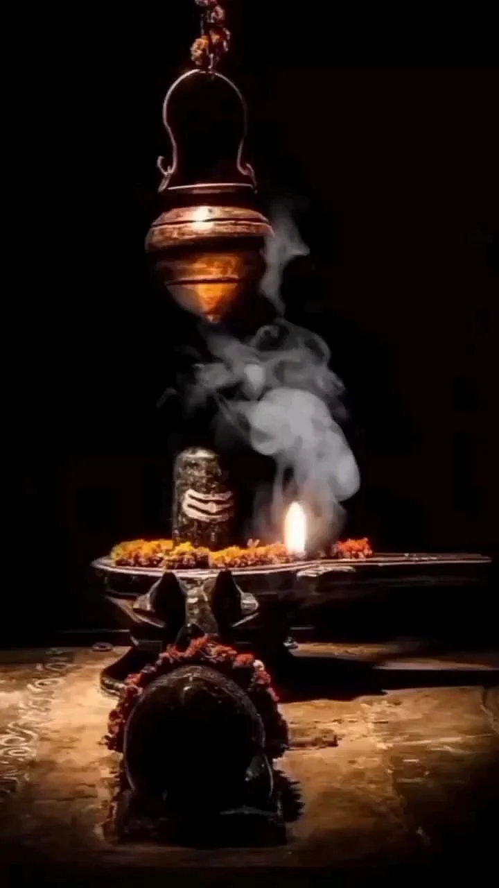 शिवसदासहायते 🍁❤️