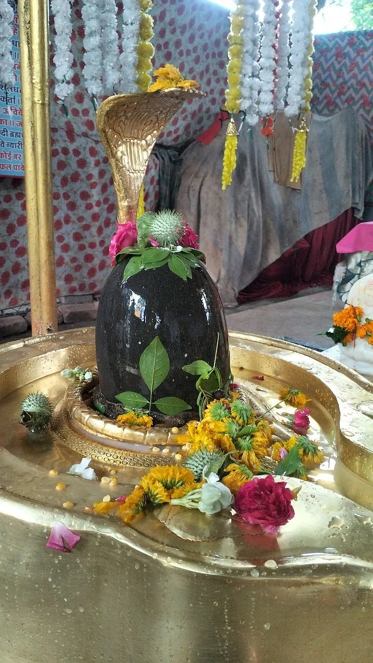 mahadev mahakal shivratri shiva shivling…