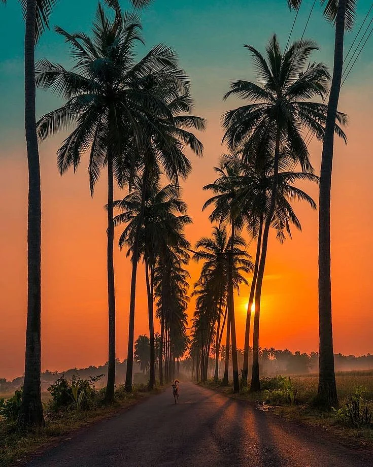 goa