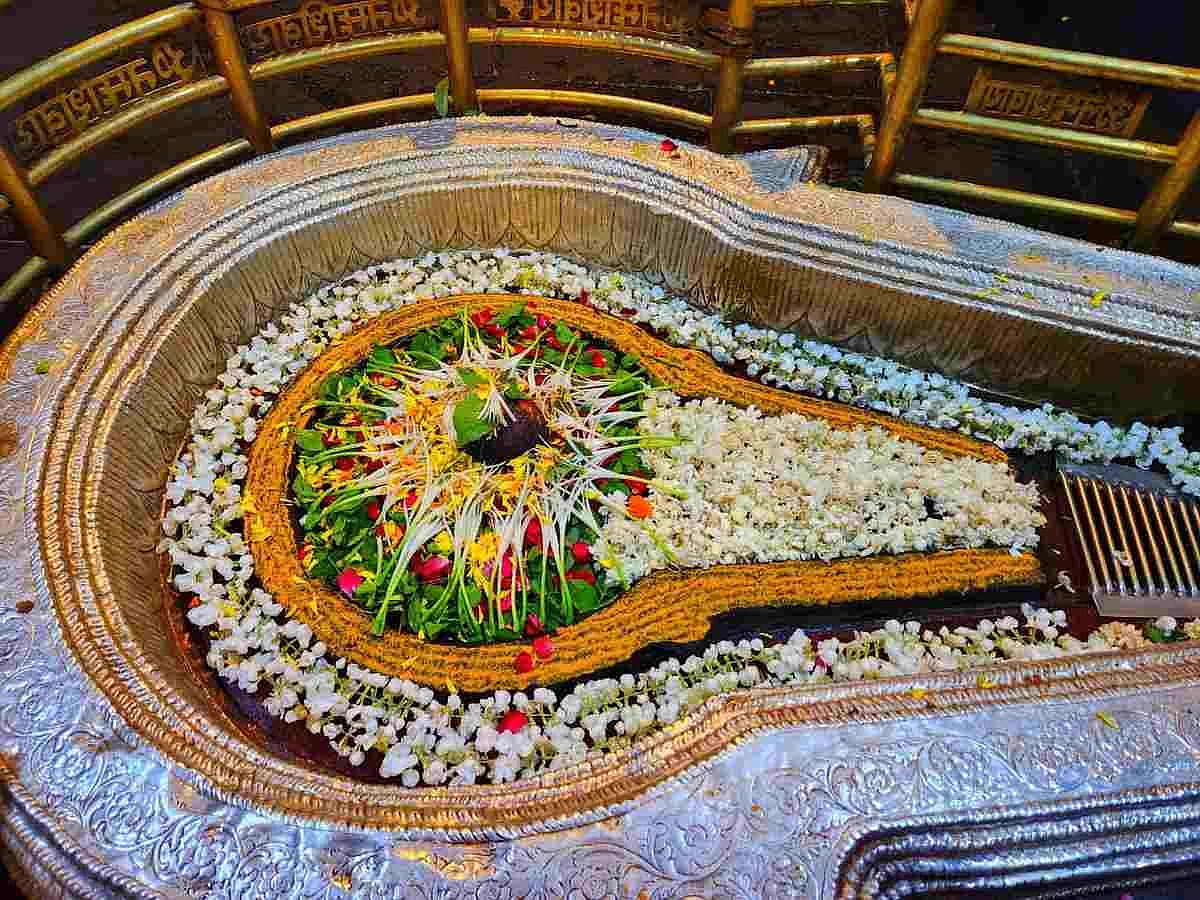 Bhimashankar 1 1