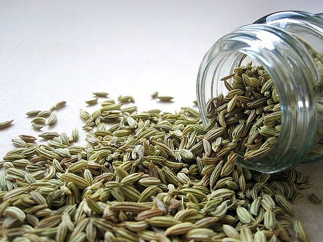 Fennel powder 19