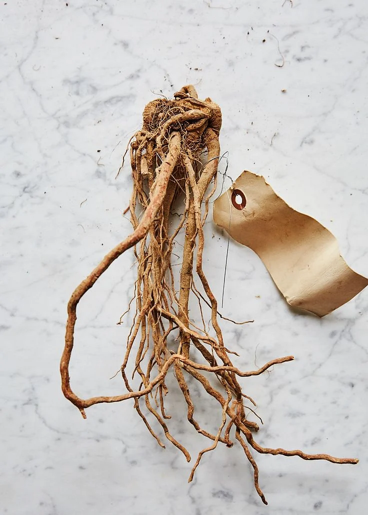 Ashwagandha 123