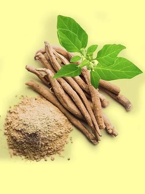Ashwagandha12