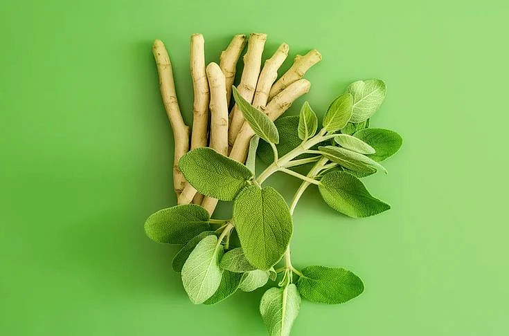Ashwagandha