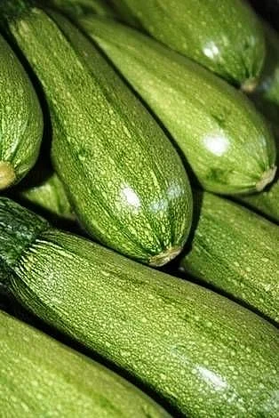 vegetable 10