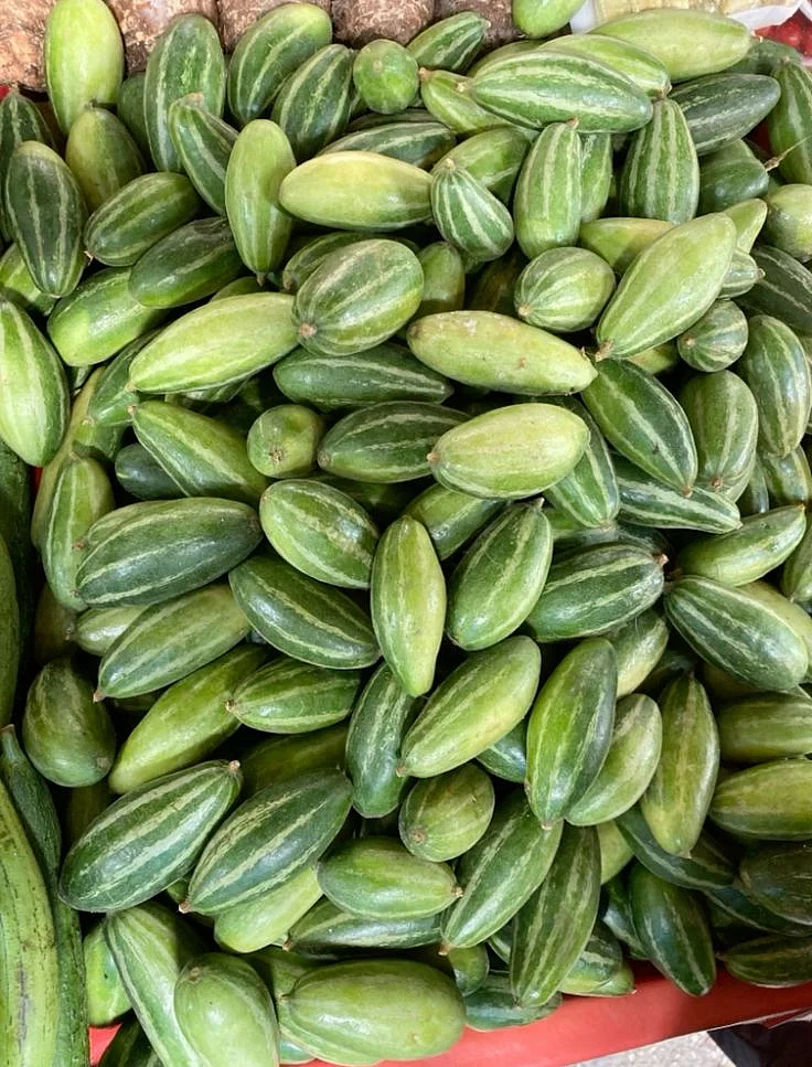 vegetable 4