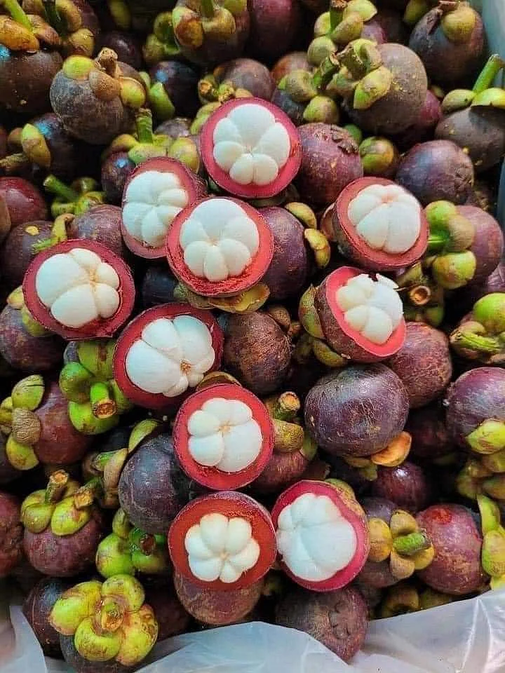 mangosteen