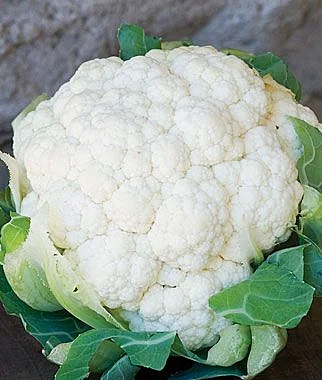 Cauliflower 7
