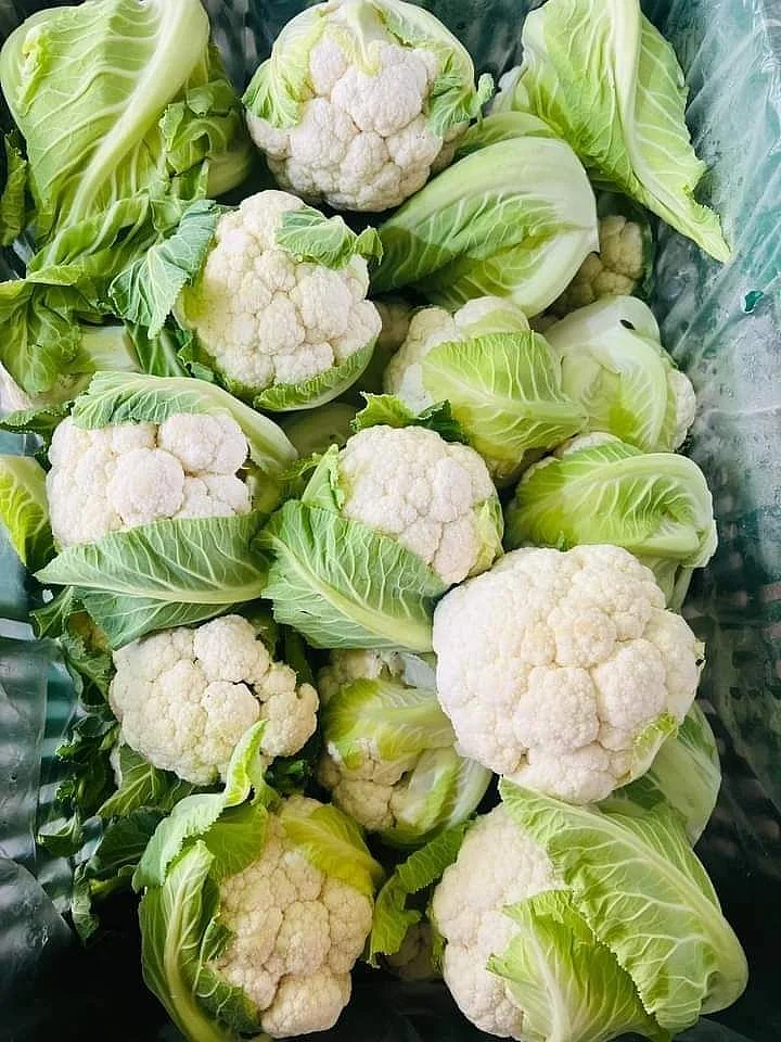 Cauliflower 5