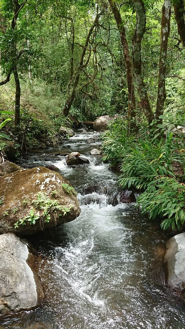 river