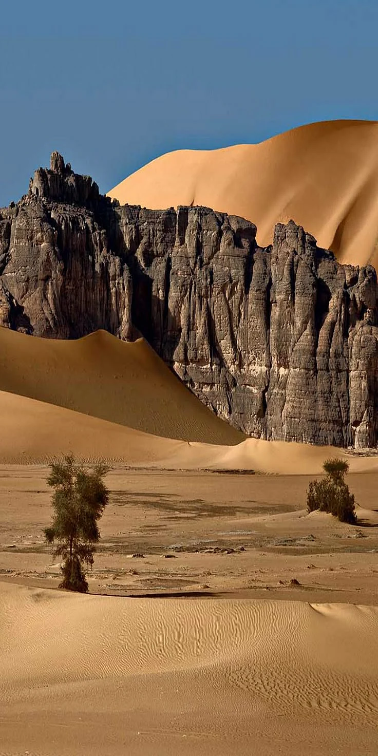 great victoria desert