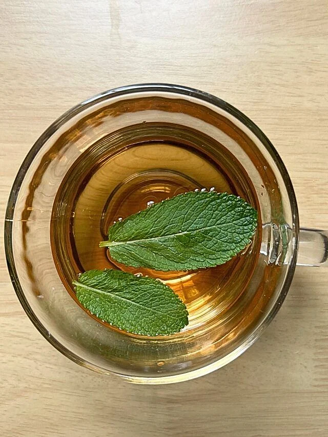 Mint Leaves 4