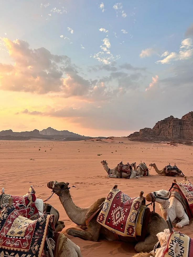 Sahara Desert