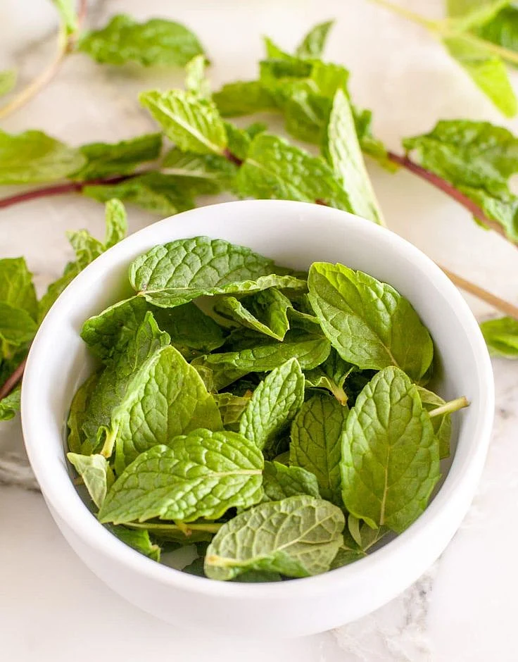 Mint Leaves 5
