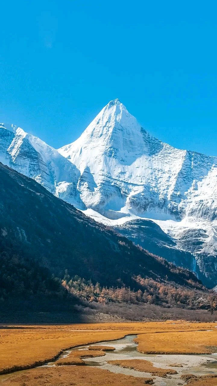india 8