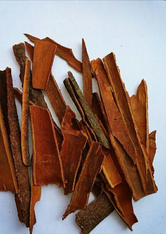 cinnamon 1