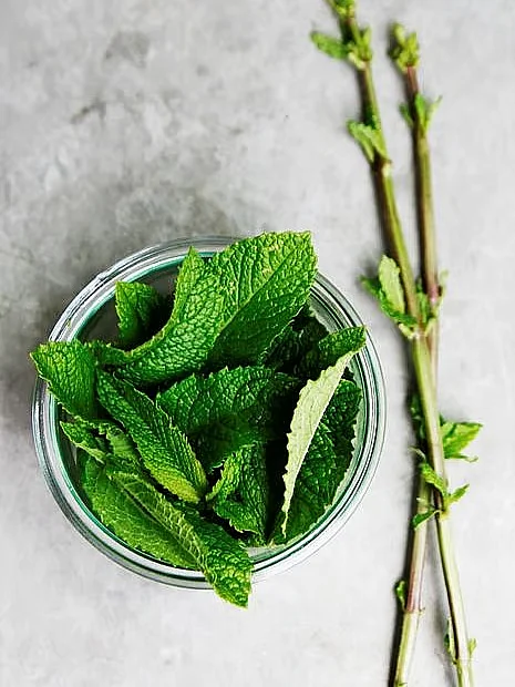 Mint Leaves