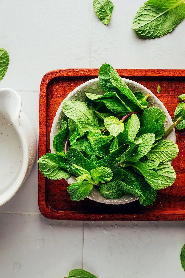 Mint Leaves 3