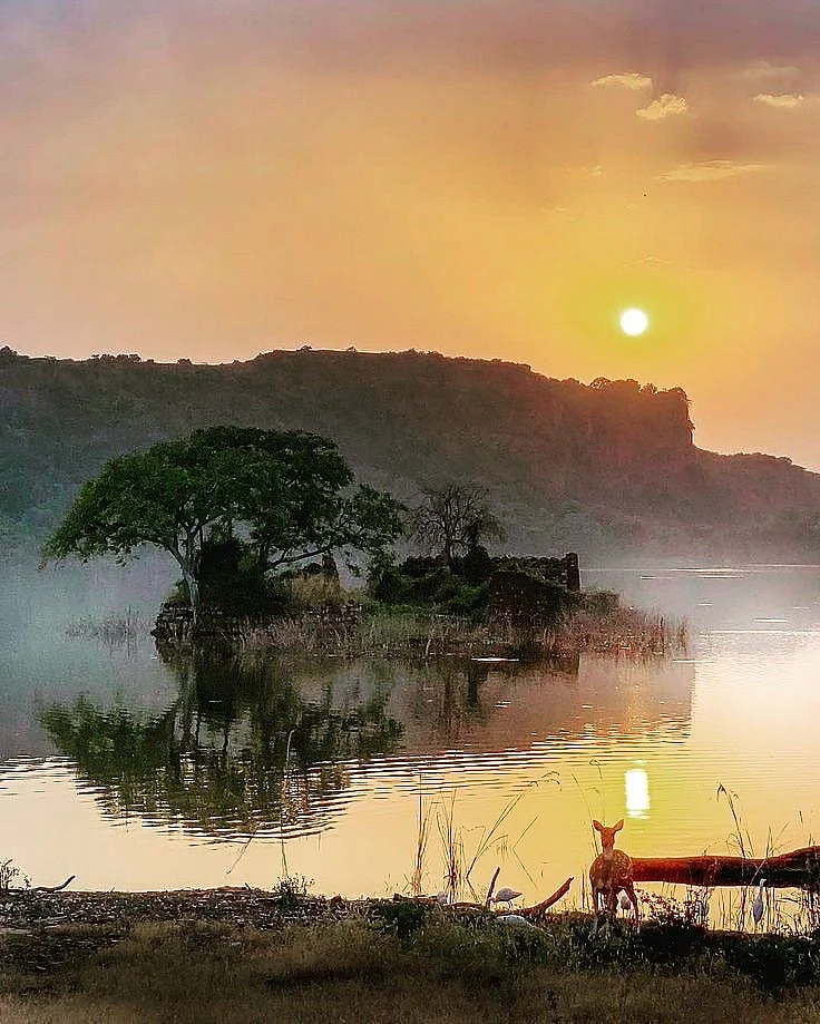 Ranthambore National Park 1