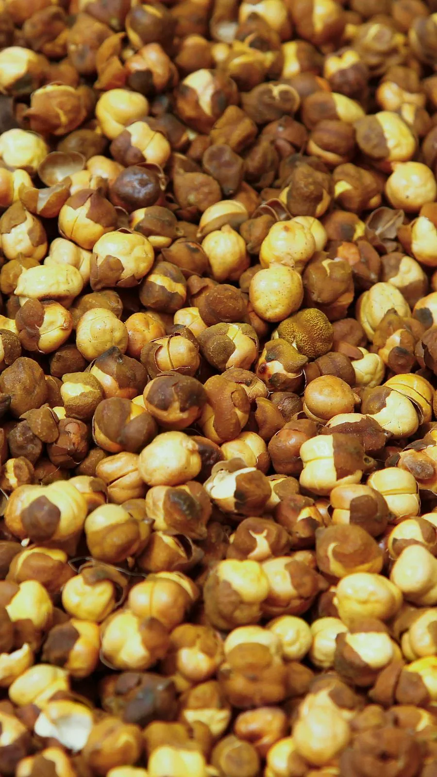 Gram 8