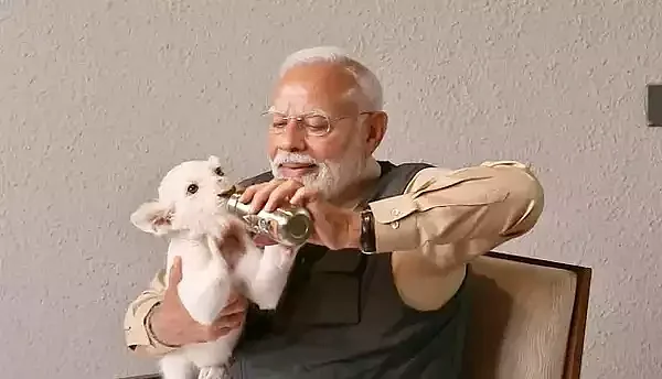 PM Modi with Baby Lion