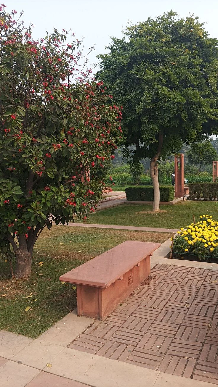 Sunder Nursery
