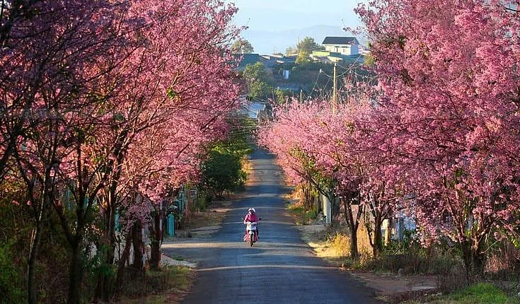 vietnam