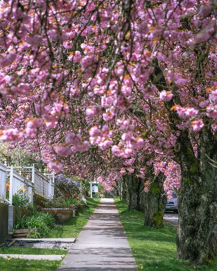 Queen Elizabeth Park