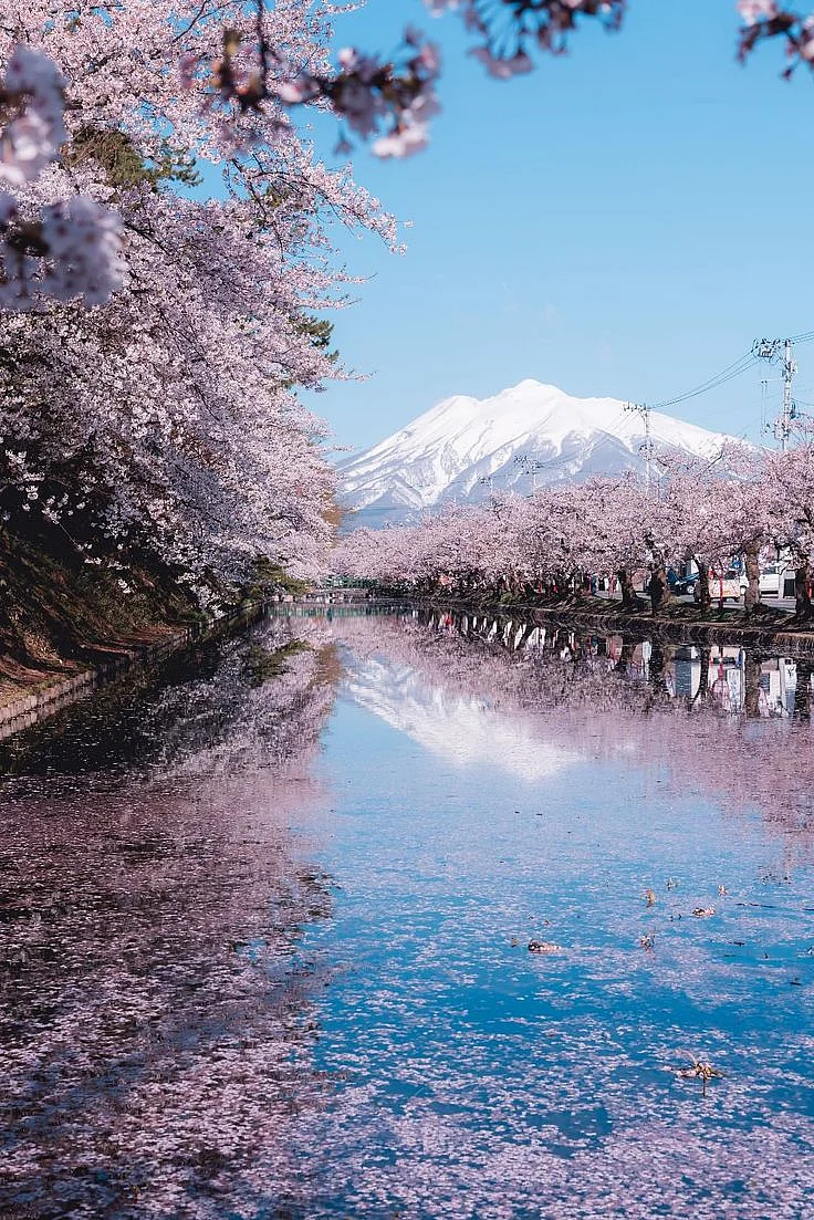 mount fuji