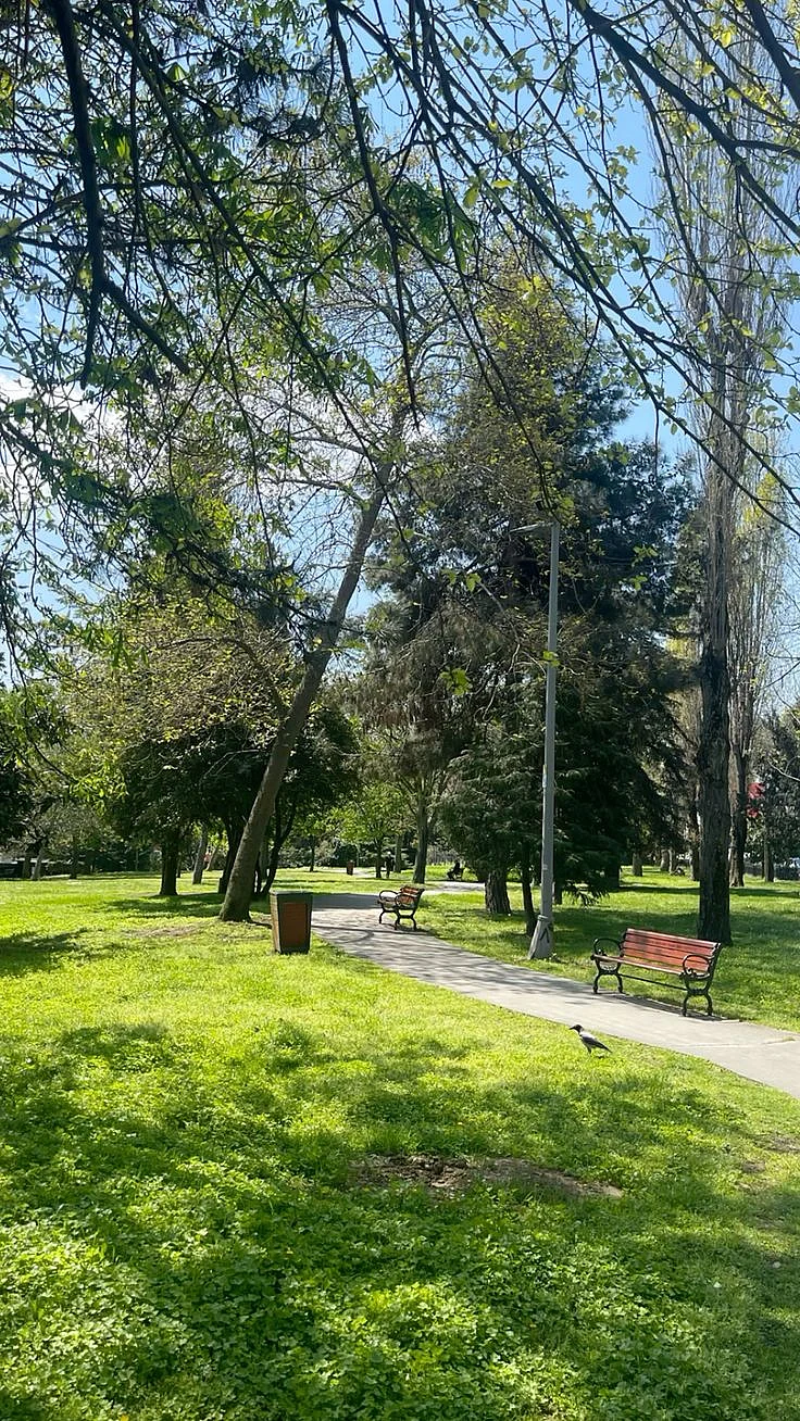 Park 2