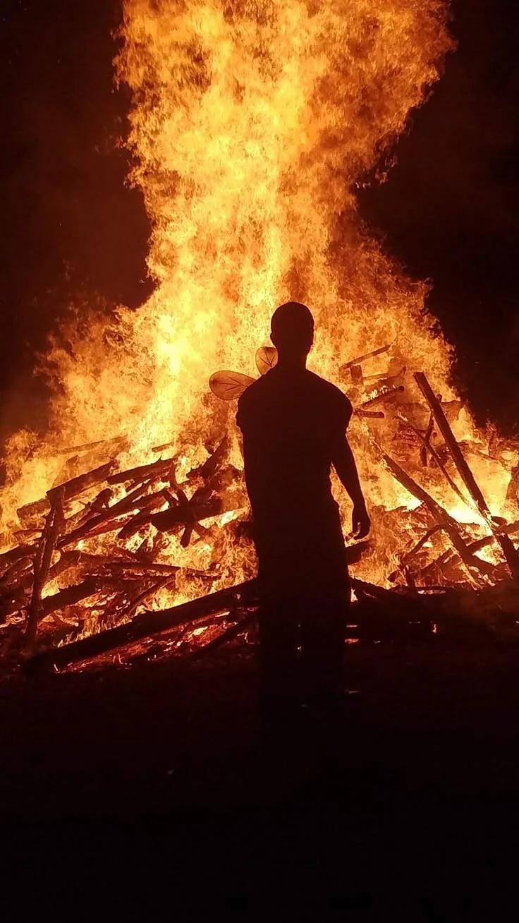 Holika Dahan 8