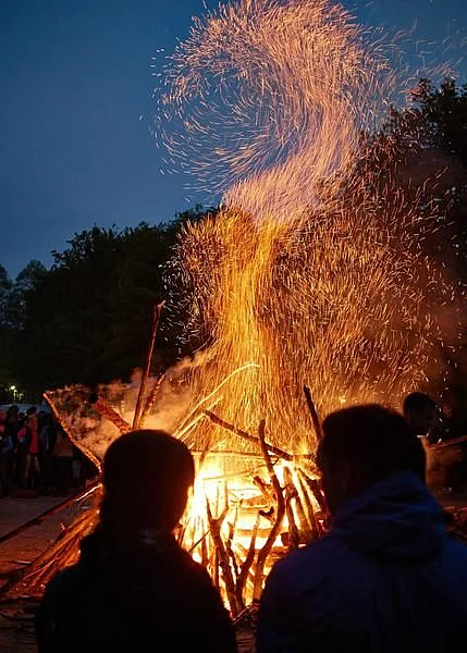 Holika Dahan 7